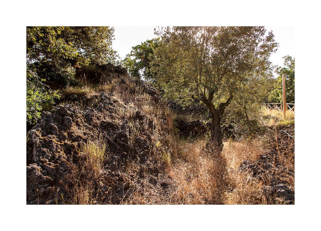 马斯卡利Ecoagriturismo Notti Stellate Etna Mare别墅 外观 照片