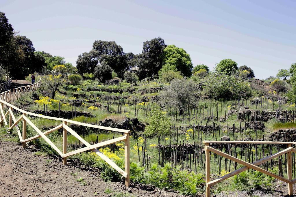 马斯卡利Ecoagriturismo Notti Stellate Etna Mare别墅 外观 照片