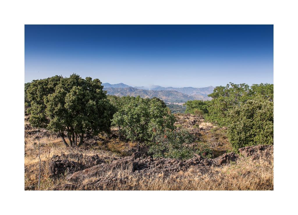 马斯卡利Ecoagriturismo Notti Stellate Etna Mare别墅 外观 照片