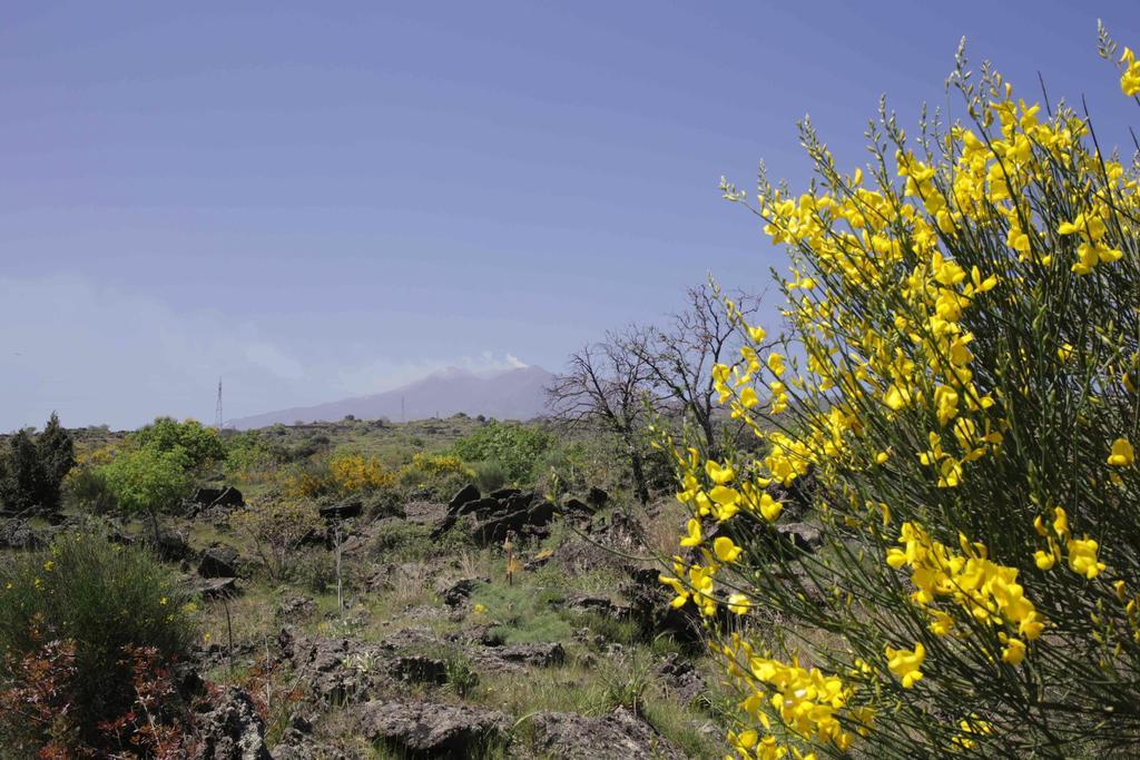 马斯卡利Ecoagriturismo Notti Stellate Etna Mare别墅 外观 照片