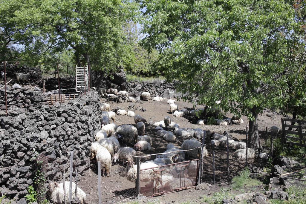 马斯卡利Ecoagriturismo Notti Stellate Etna Mare别墅 外观 照片