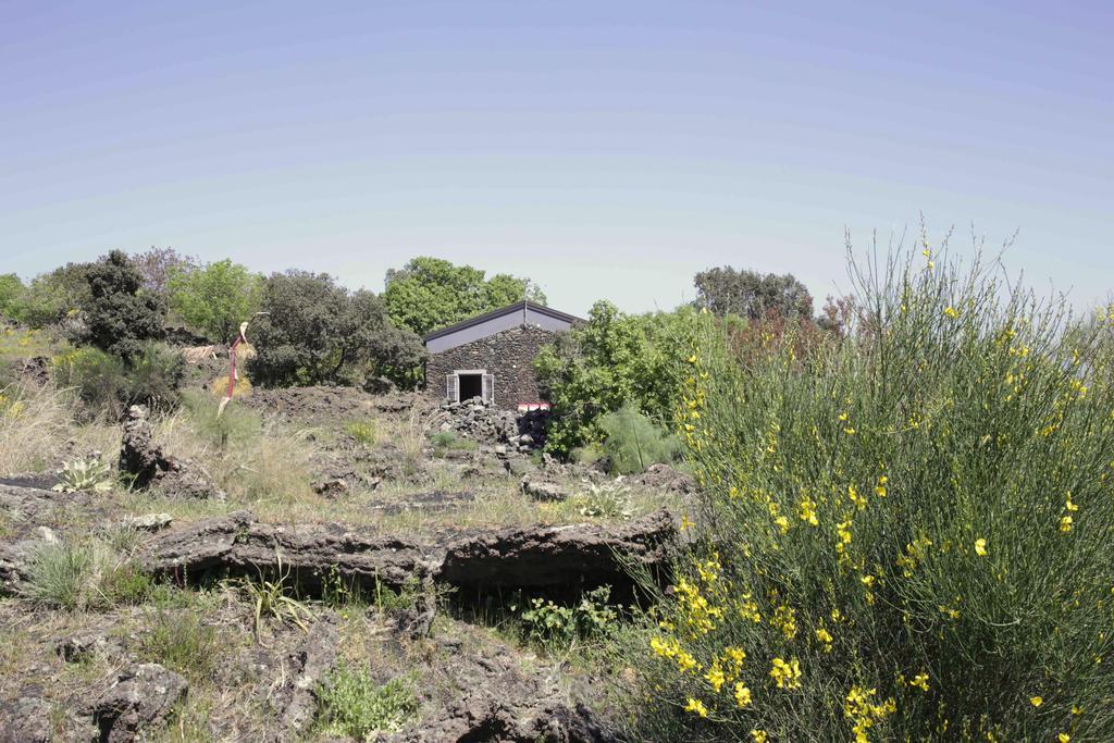 马斯卡利Ecoagriturismo Notti Stellate Etna Mare别墅 外观 照片